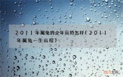 2011年属兔一生运程 2011年属兔的全年运势怎样