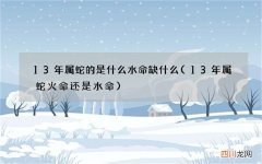 13年属蛇火命还是水命 13年属蛇的是什么水命缺什么