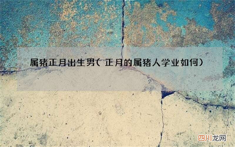 正月的属猪人学业如何 属猪正月出生男