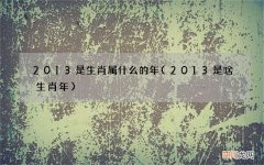 2013 是啥生肖年 2013是生肖属什么的年