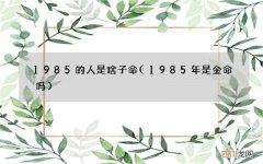 1985年是金命吗 1985的人是啥子命