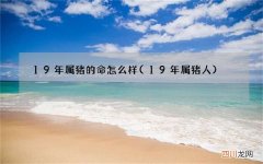 19年属猪人 19年属猪的命怎么样
