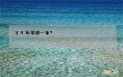 89年是哪一年？
