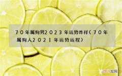 70年属狗人2021年运势运程 70年属狗男2023年运势咋样