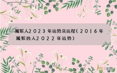 2016年属猴的人2022年运势 属猴人2023年运势及运程