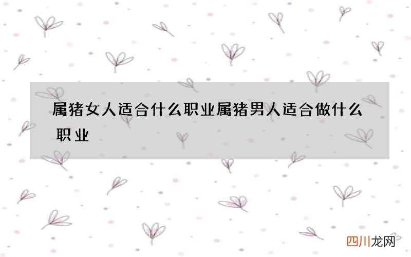 属猪女人适合什么职业 属猪男人适合做什么职业
