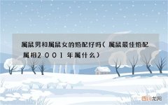 属鼠最佳婚配属相2001年属什么 属鼠男和属鼠女的婚配好吗