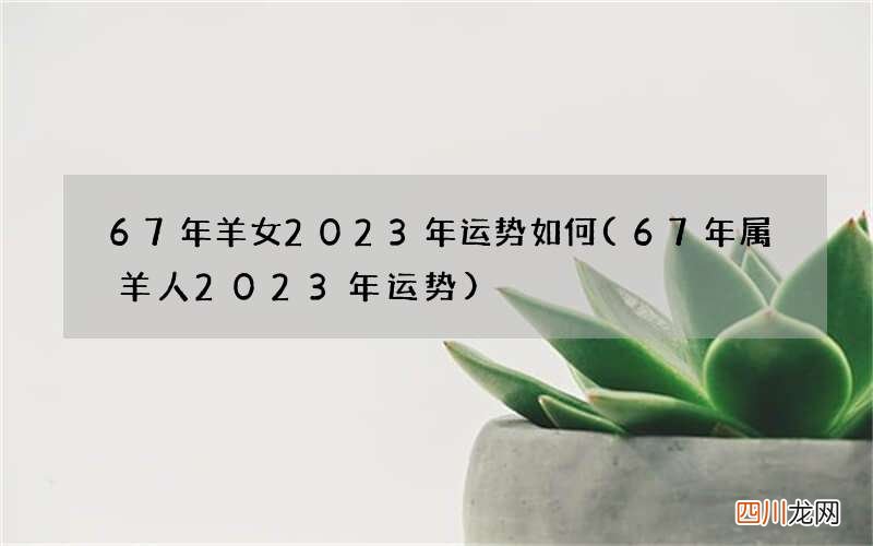67年属羊人2023年运势 67年羊女2023年运势如何