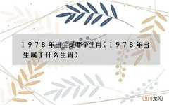 1978年出生属于什么生肖 1978年出生是哪个生肖
