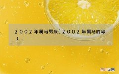 2002年属马的命 2002年属马男孩