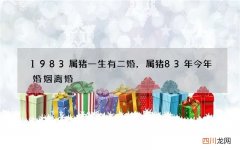 1983属猪一生有二婚，属猪83年今年婚姻离婚