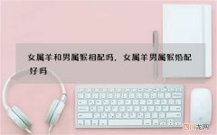 女属羊和男属猴相配吗，女属羊男属猴婚配好吗