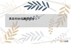 黄磊和孙莉属相相冲，名人夫妻属相相冲