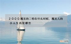 2000属龙的二婚在什么时候，属龙人的小人生肖是哪些