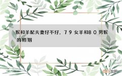 猴和羊配夫妻好不好，79女羊和80男猴的婚姻