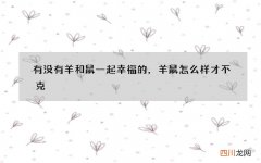 有没有羊和鼠一起幸福的，羊鼠怎么样才不克