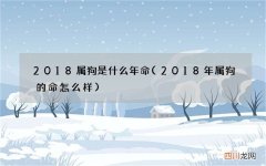 2018年属狗的命怎么样 2018属狗是什么年命