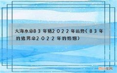 83年的猪男命2022年的婚姻 大海水命83年猪2022年运势