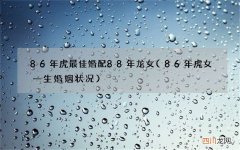 86年虎女一生婚姻状况 86年虎最佳婚配88年龙女