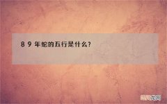 89年蛇的五行是什么？