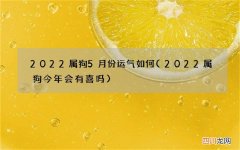 2022属狗今年会有喜吗 2022属狗5月份运气如何