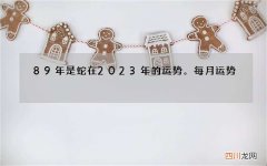 89年是蛇在2023年的运势。每月运势。