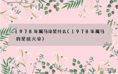 1978年属马的是啥火命 1978年属马命是什么