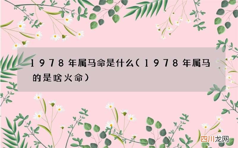 1978年属马的是啥火命 1978年属马命是什么