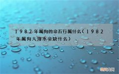 1982年属狗大海水命缺什么 1982年属狗的命五行属什么