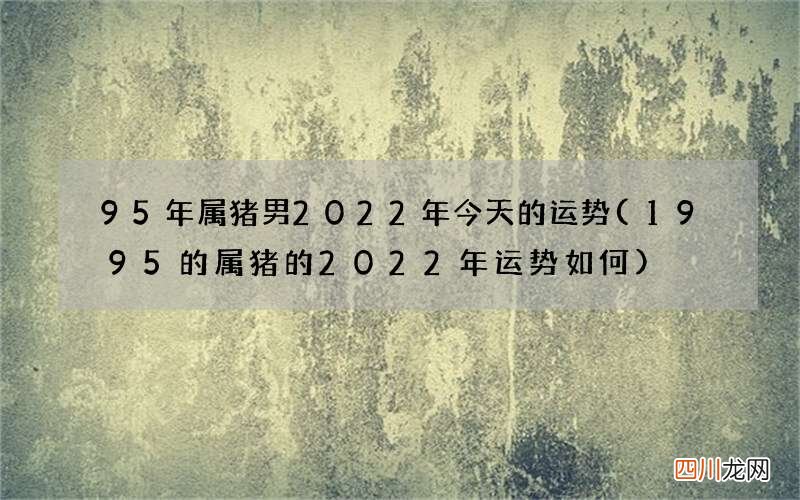 1995的属猪的2022年运势如何 95年属猪男2022年今天的运势