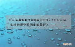2006年生肖狗哪个时间生的最好 06年属狗的什么时辰出生好