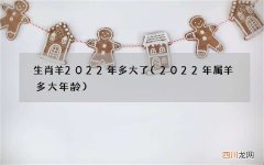2022年属羊多大年龄 生肖羊2022年多大了