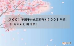 2001年是什么年五行属什么 2001年属于什么五行年