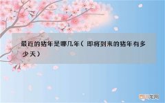 即将到来的猪年有多少天 最近的猪年是哪几年