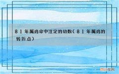 81年属鸡的转折点 81年属鸡命中注定的劫数