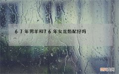 67年男羊和76年女龙婚配好吗，属羊的和属龙的八字合吗