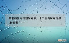 最准的生肖婚姻配对表，十二生肖配对姻缘准确表