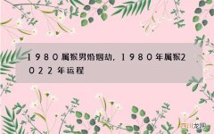 1980属猴男婚姻劫，1980年属猴2022 年运程