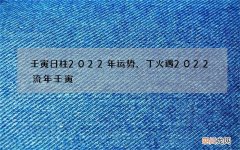 壬寅日柱2022年运势，丁火遇2022流年壬寅