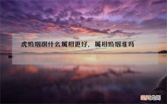 虎婚姻跟什么属相更好，属相婚姻准吗