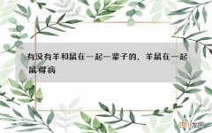 有没有羊和鼠在一起一辈子的，羊鼠在一起鼠得病