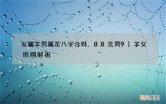 女属羊男属龙八字合吗，88龙男91羊女婚姻解析