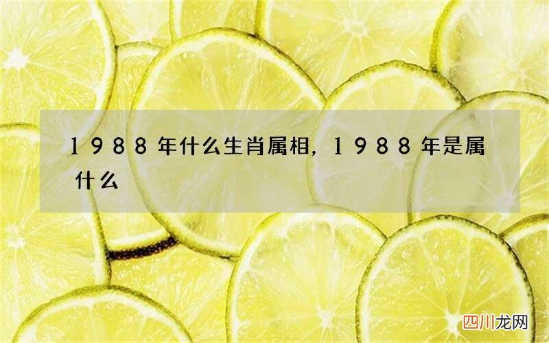 1988年什么生肖属相，1988年是属什么