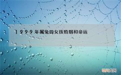 1999年属兔的女孩婚姻和命运，1999年属兔是什么命