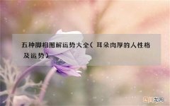 耳朵肉厚的人性格及运势 五种脚相图解运势大全
