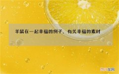 羊鼠在一起幸福的例子，有关幸福的素材