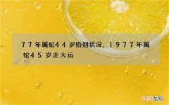 77年属蛇44岁婚姻状况，1977年属蛇45岁走大运