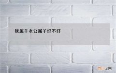 我属羊老公属羊好不好，属羊的男人命好不好