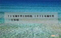 73年属牛男士的婚姻，1973年属牛男一生婚姻