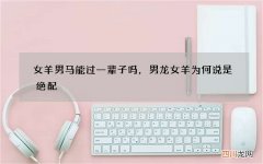 女羊男马能过一辈子吗，男龙女羊为何说是绝配